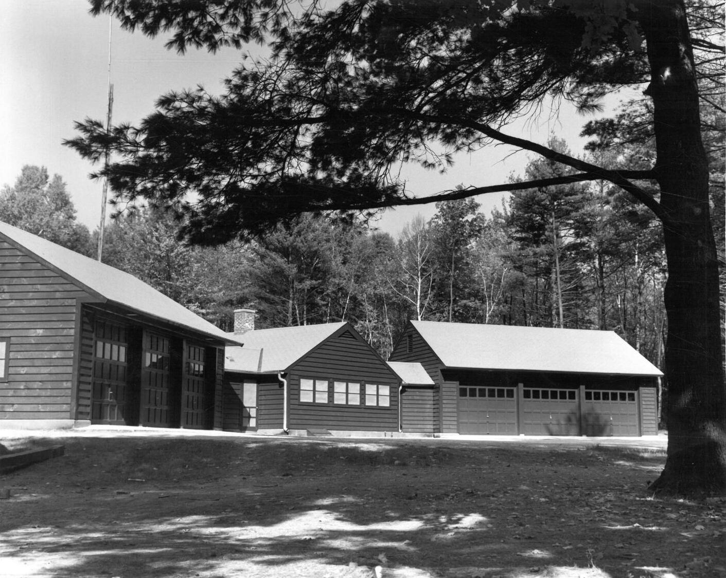 Pittsfield State Forest, October, 1950